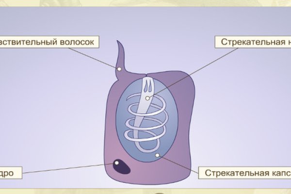 Кракен 17 вход