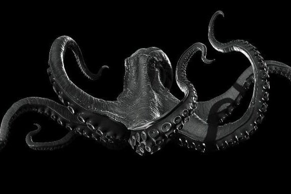 Kraken 18 at