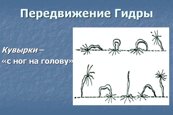 Как зайти на кракен браузеры