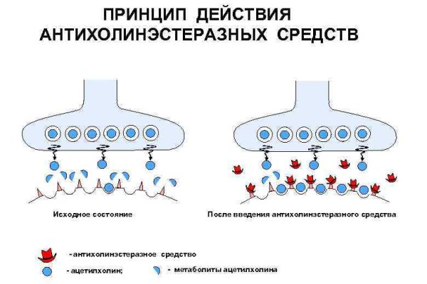 Кракен ссылка kraken